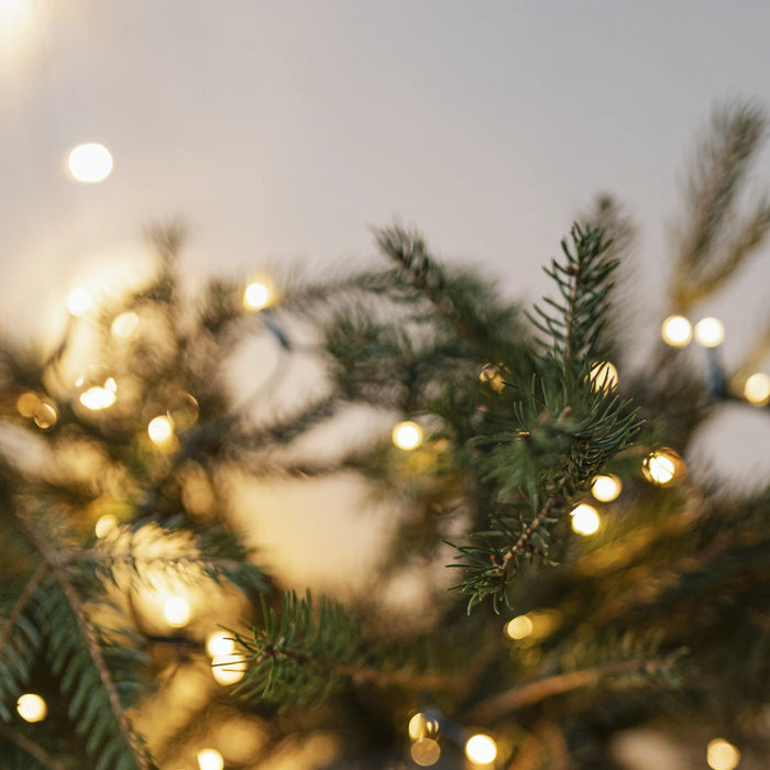 Luci natalizie LED decorative all’interno di una casa