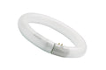 Lampada Circolina Fluorescente Sylvania 22W 4000K G10q
