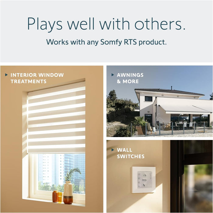 RICEVITORE SOMFY PLATINE RTS PER CASSONETTO 1810315