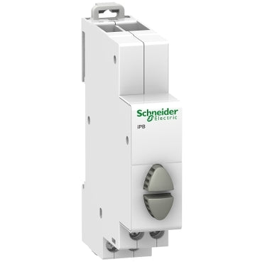 Schneider Electric Pulsante Modulare Doppio iPB 1NA+1NA 20A 250VCA Grigio - A9E18035