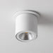 Faretto LED da Soffitto Beneito Faure Concord 14W Switch CCT Bianco, dettaglio del cilindro bianco e della lente LED