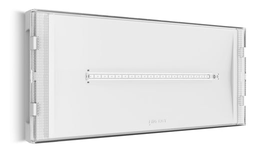 Lampada di Emergenza LED Linergy Selfie 18W IP42 SE